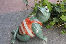 Frösche Bild 3
